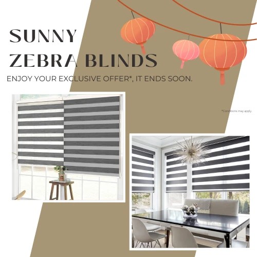 zebra blinds promo