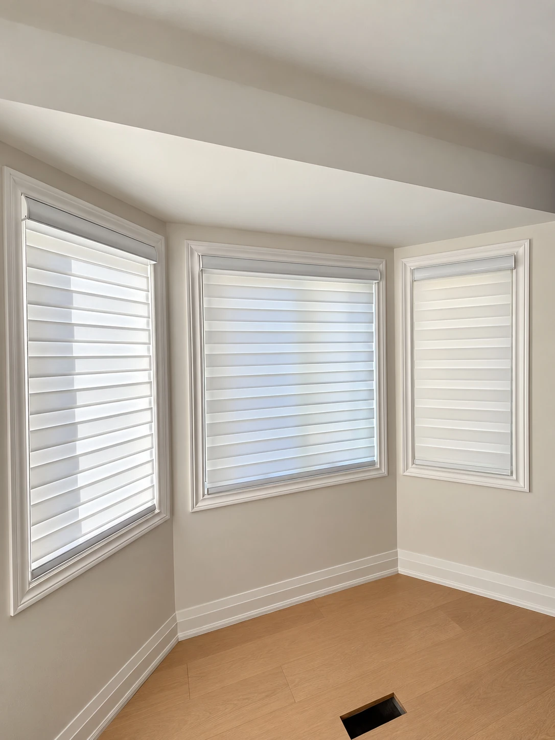 Zebra Shades in an Oakville Home